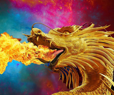dragon-0-253539_1280.jpg
