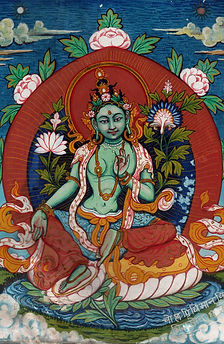 Green_tara_1179.jpg
