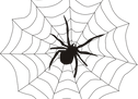 spider-on-web155449_1280.png
