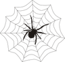spider-on-web155449_1280.png