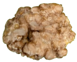 Fritter-removebg_edited.png