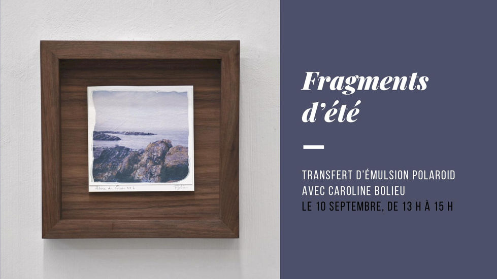 oeuvre d'émulsion polaroid