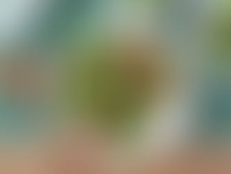 Arugula, Watermelon and Feta Salad