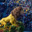 Thumbnail: Two Grandstand Tickets: 2025 Rose Parade