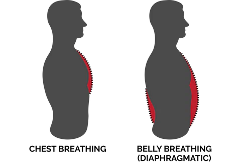chest vs belly breathing