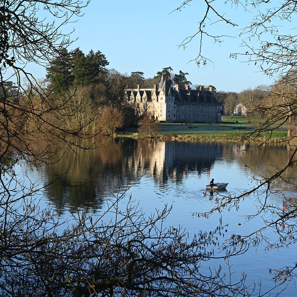 De l'autre côté de l'Erdre, le château de la Gascherie