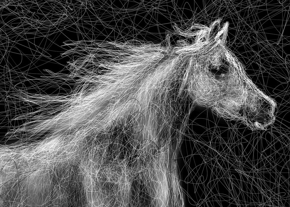 Thumbnail: Horse