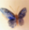 butterfly_edited.jpg