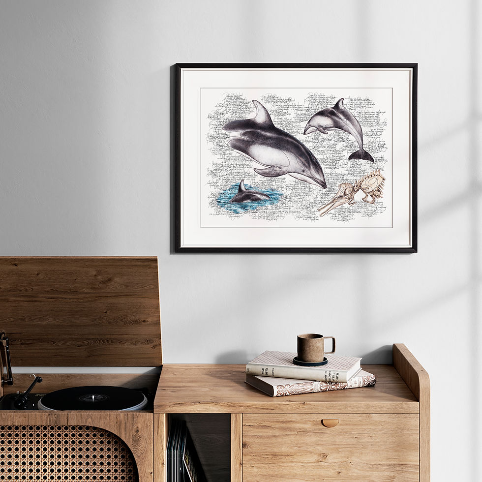 Thumbnail: Pacific White-sided Dolphin