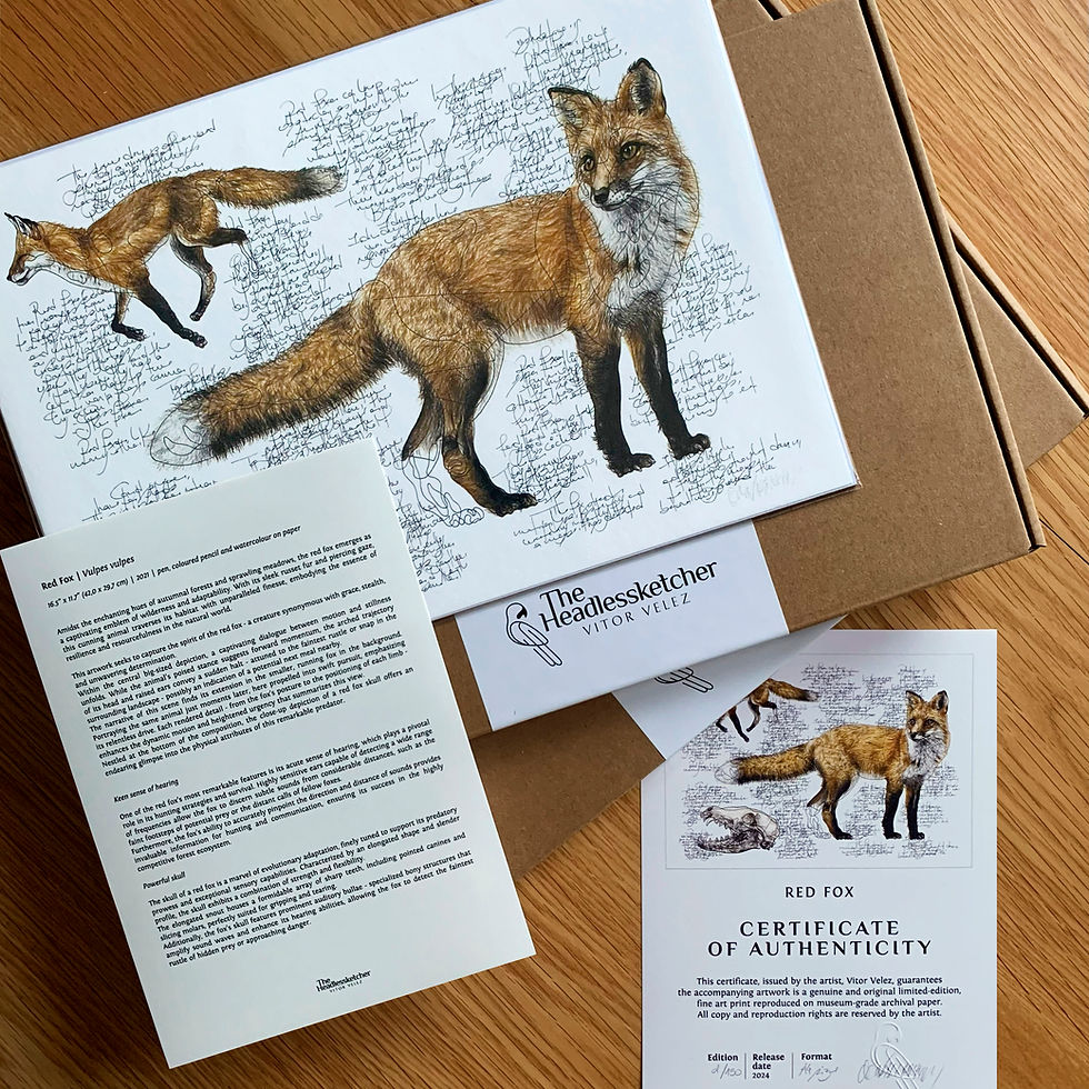 Thumbnail: Red Fox