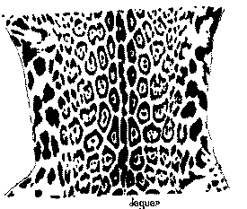 leopardfursketch.gif