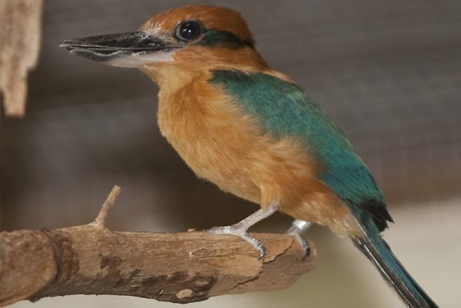 Screen Shot 2020-09-04 at 2.21.35 PM.png