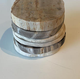 Onderzetters versteend hout