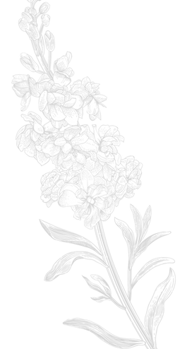 flower1_edited_edited_edited_edited.png