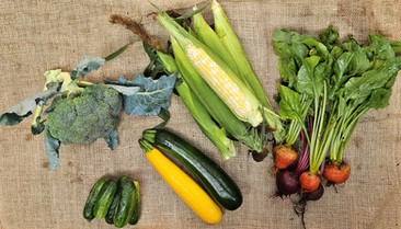 Family Share CSA Membership Farm Subscription