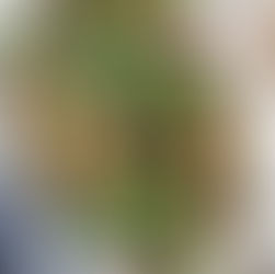 Green Bean Summer Salad