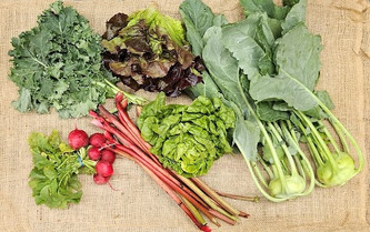Family Share CSA Membership Farm Subscription