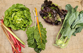 Single Share CSA Membership Farm Subscription