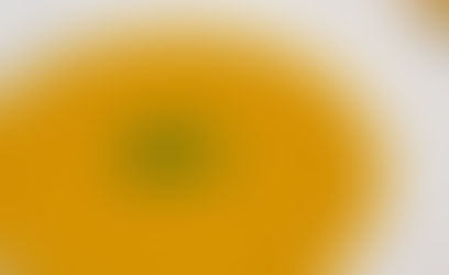 Butternut Squash Soup