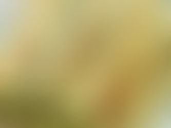 Baked Parmesan Zucchini