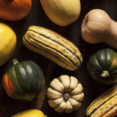 CSA Newsletter -- Week 13