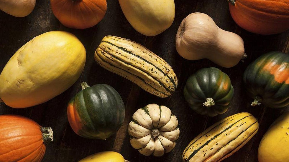 CSA Newsletter -- Week 13