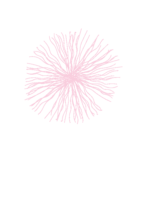 ezgif.com-gif-maker-1.gif