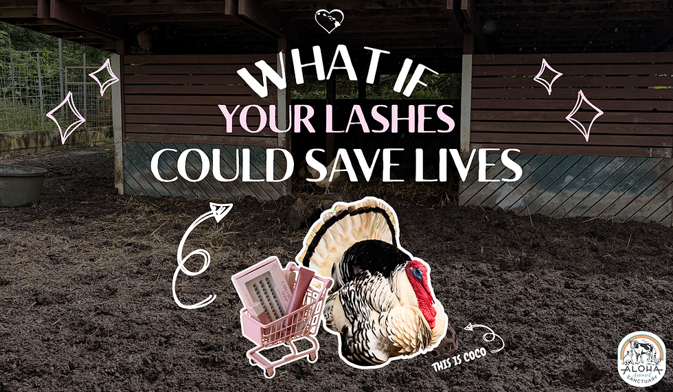 What if (6.5 x 3.8 in).png