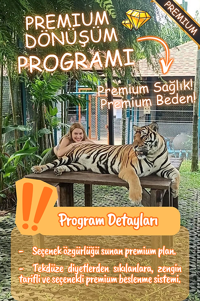 Premium Paket (1).png