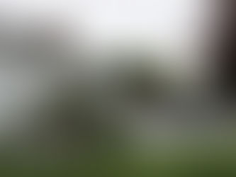 The Green Room's Getting Bigger!