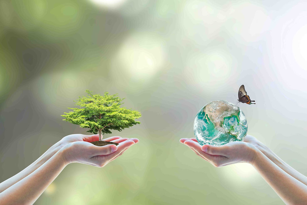ecologie.jfif