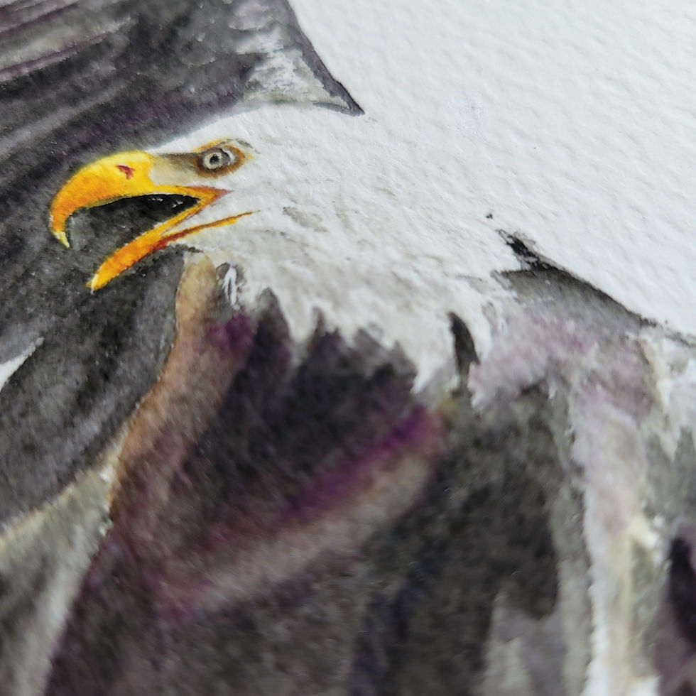 Thumbnail: Eagle Watercolor Art Print