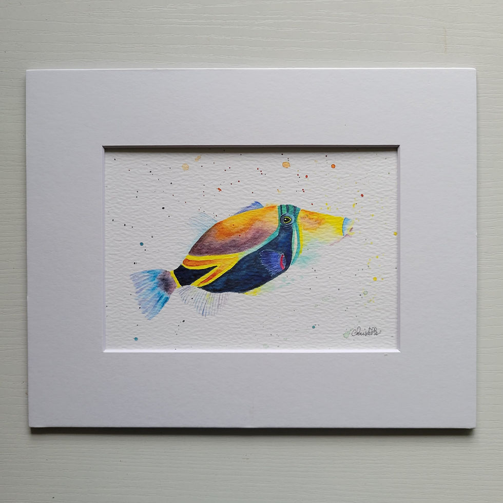 Thumbnail: Trigger Fish Watercolor Art Print