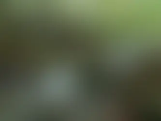 Giant City State Park Waterfall