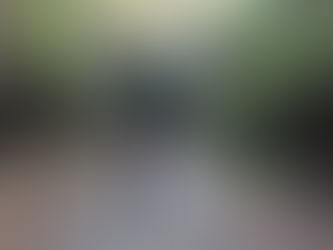 Riding through the Tunnel Hill Trail in Vienna, Illinois