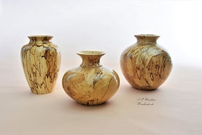 Spalted Maple