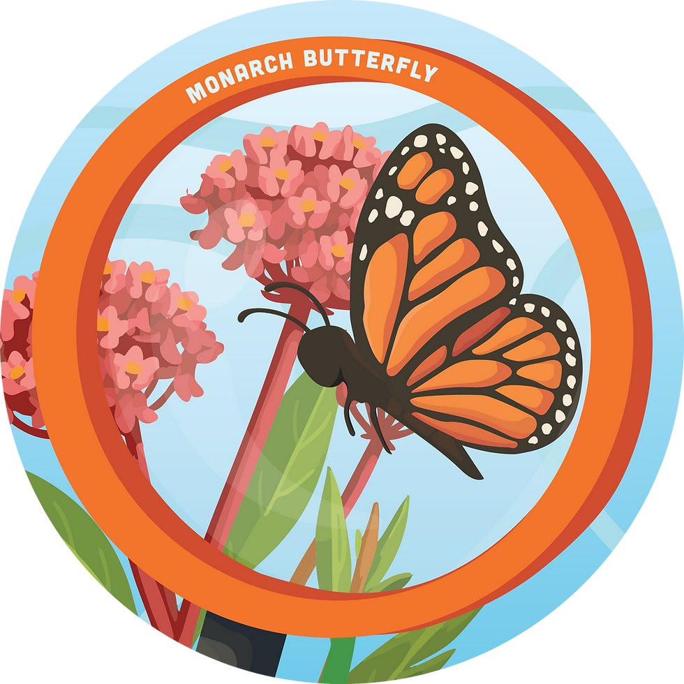 Popuch Panel - Pollinators 3.png