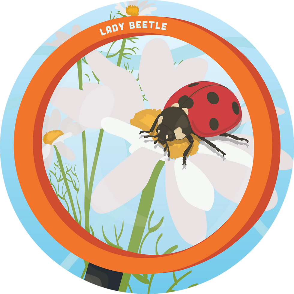Popuch Panel - Pollinators 4.png