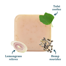 Ayurvedic Remedy (4).png