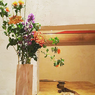 image1 (1).jpeg