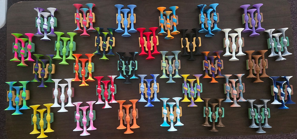 The collection