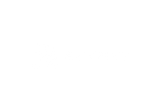 STREGISORG.png