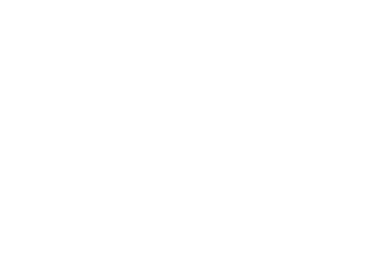 TURKEY.png
