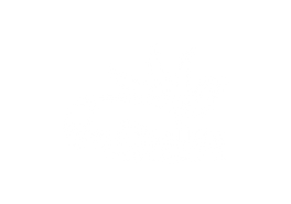 SEYCHELLES.png