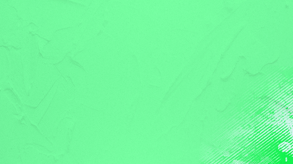 fundo verde claro.png