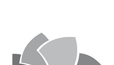 logo_dmc