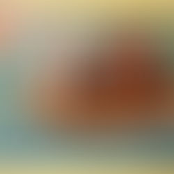 05.16 Life of Brendan the Voyager