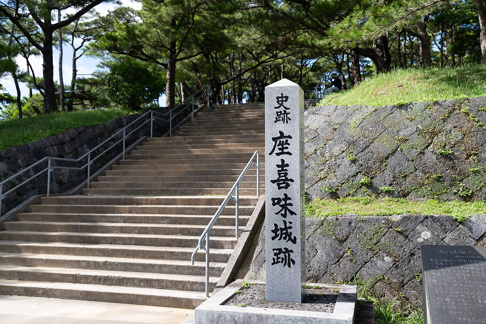 DSC09411.jpg