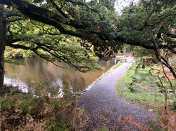 Llyn hafod y Llyn