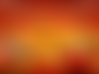  2026 维多利亚华人长者马年迎春联欢会圆满举行